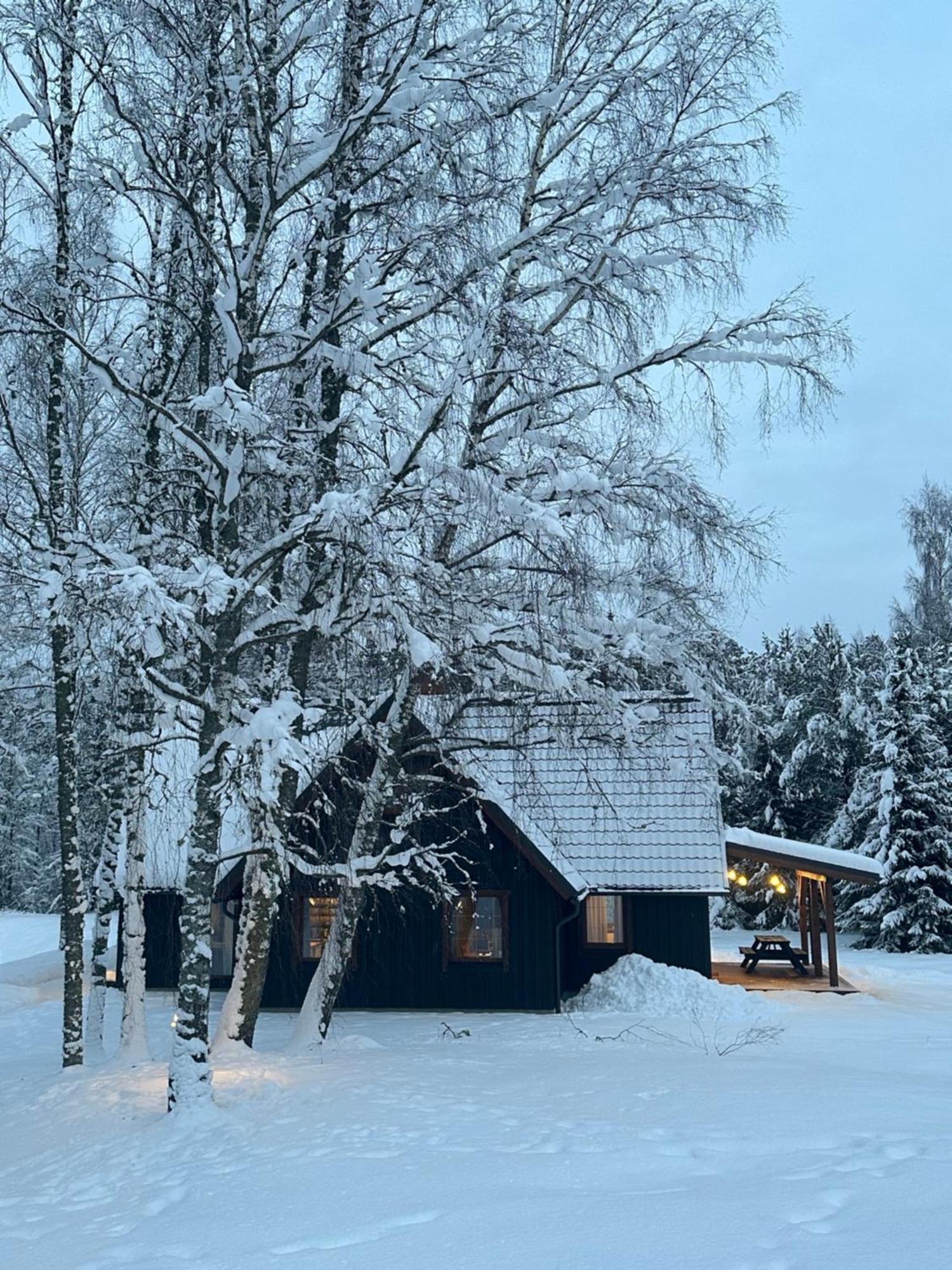 Brivdienu Maja Vejini Straupe Exterior foto